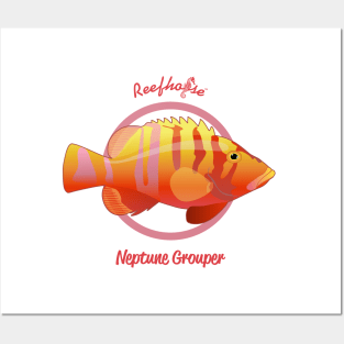 Neptune Grouper Posters and Art
